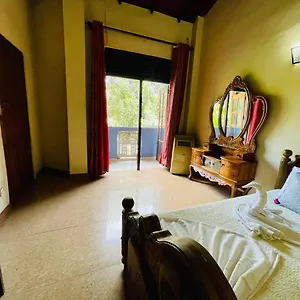 https://the-royal-rose.negombohotels.net